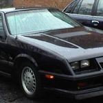 Shot by the previous owner