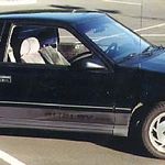 Shot by the previous owner