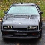 Shot by the previous owner